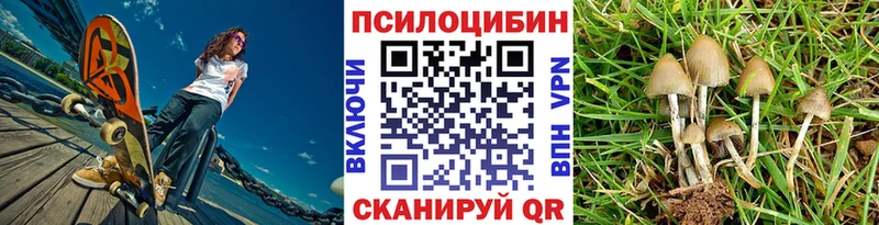 Купить где  Нижнеудинск  Псилоцибиновые грибы Psilocybine cubensis 